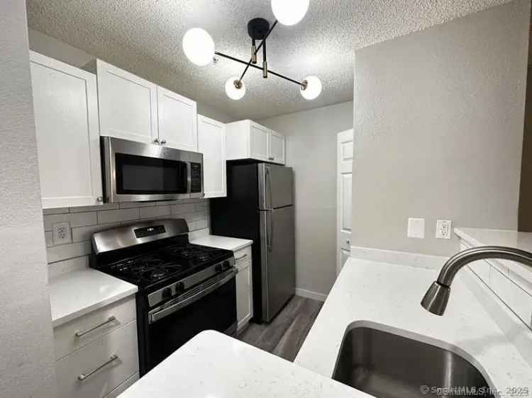 Downtown Luxury 1BR Apartment - Updated Gourmet Kitchen & Balcony