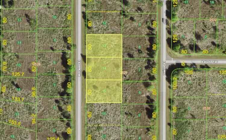 Land For Sale in 7th Street, Winter Garden, Florida