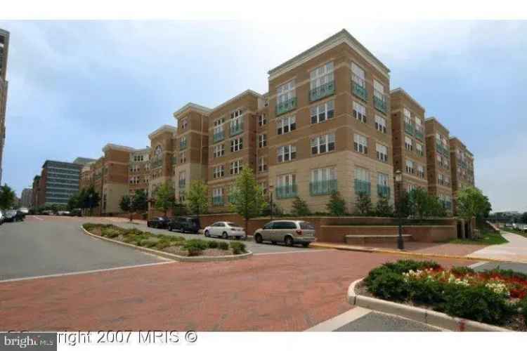 1 Bed 1 Bath Apartment in Reston Town Center