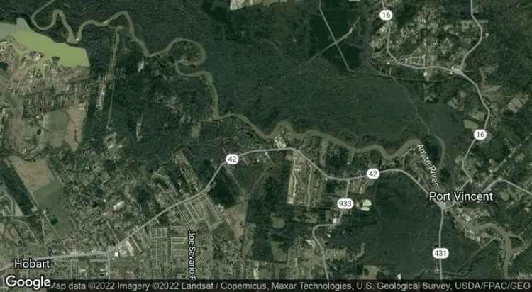 Land For Sale in 42728, LA 42, Galvez Town, Louisiana