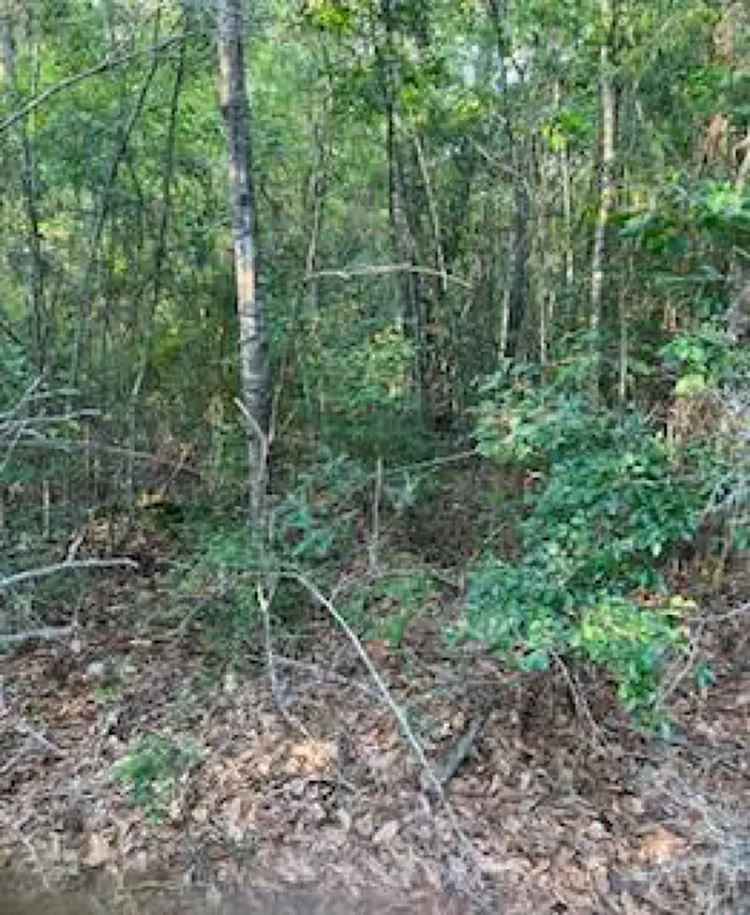 Land For Sale in Mississippi