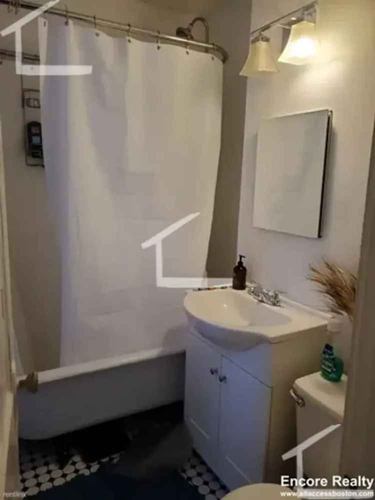 1BR/1BA Apartment near Allston St & Griggs St T Stops