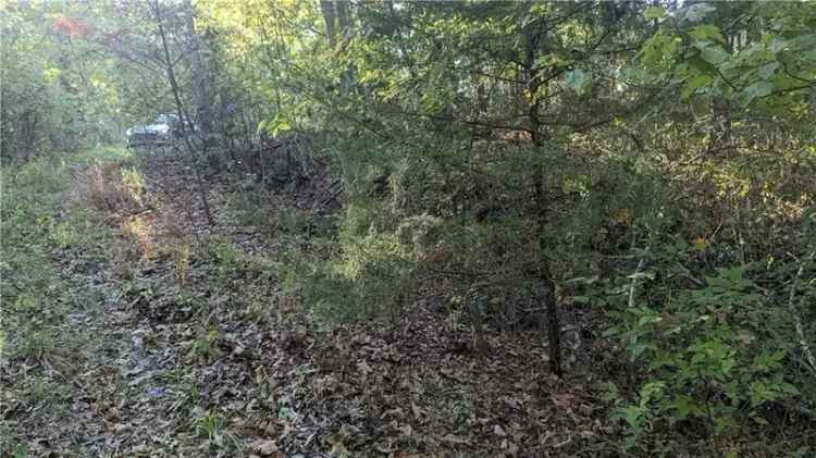 Land For Sale in Bella Vista, Arkansas