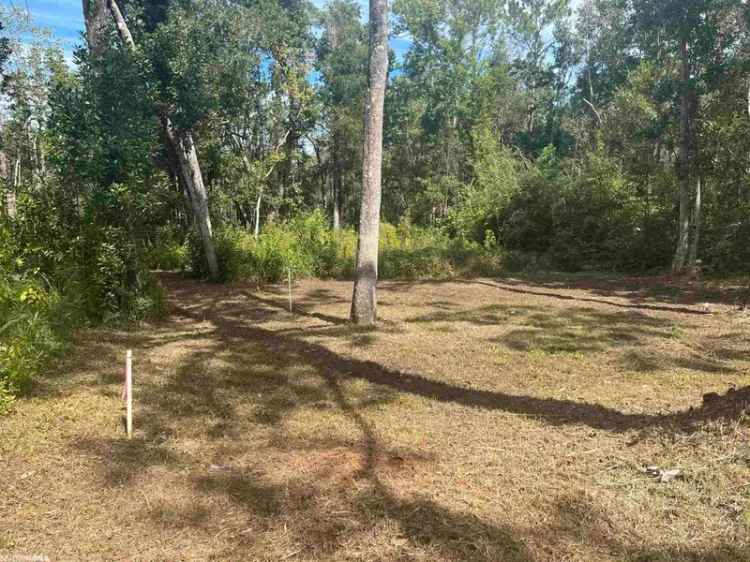 Land For Sale in Elberta, Alabama