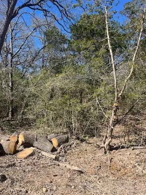 Land For Sale in 140, Heleakala Drive, Texas