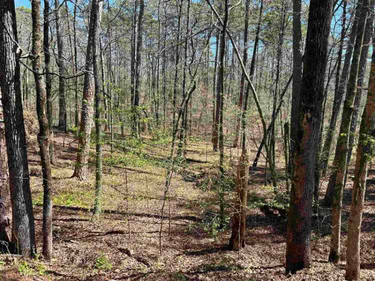 Land For Sale in Hot Springs Village, Arkansas