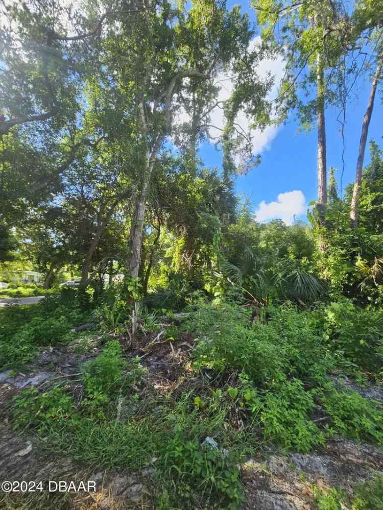 Land For Sale in Holly Hill, Florida