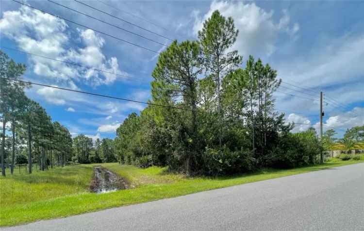 Land For Sale in Wedgefield, Florida