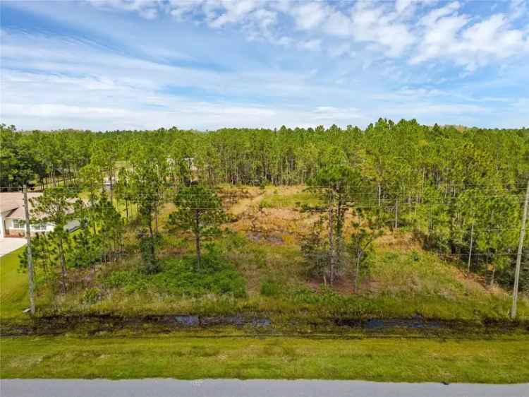 Land For Sale in Wedgefield, Florida