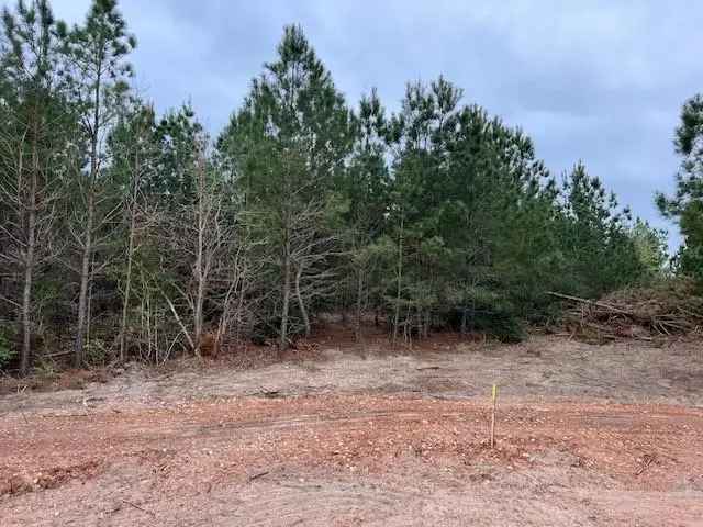 Land For Sale in Circle D-KC Estates, Texas