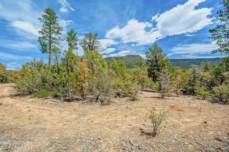 Land For Sale in Pine, Arizona