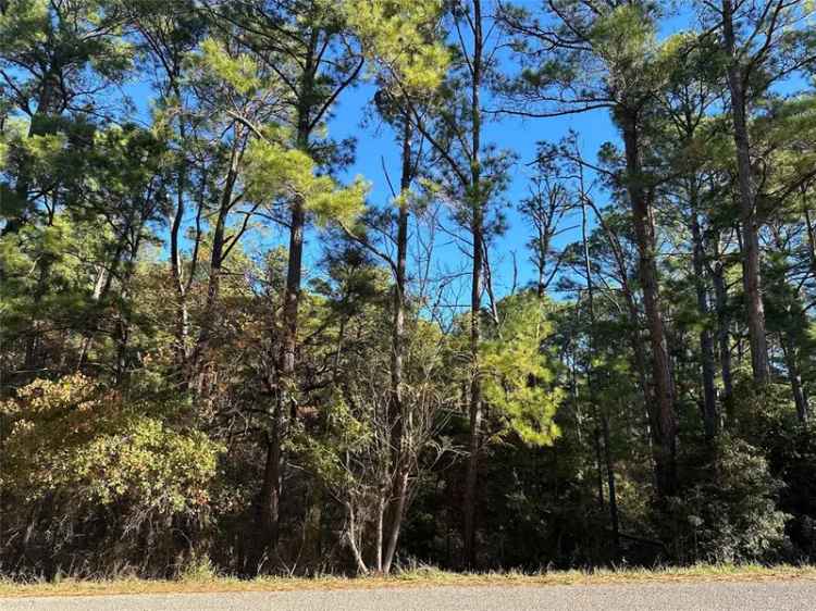 Land For Sale in Texas