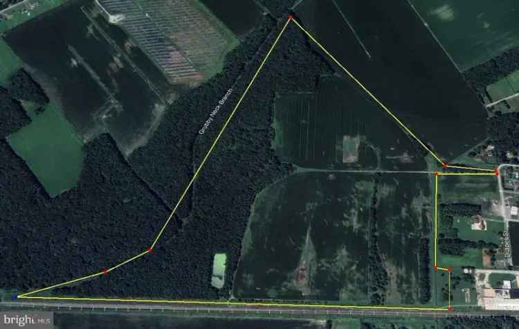 Land For Sale in 301, South Church Street, Greenwood, Delaware