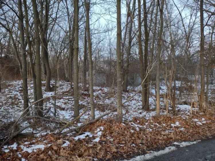 Land For Sale in 7234, Ash Place, Gary, Indiana