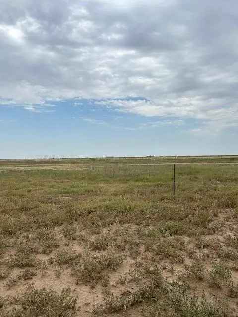 Land For Sale in DISH, Texas