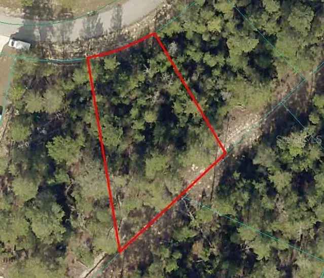 Land For Sale in Ocala, Florida