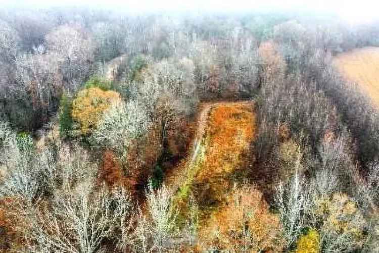 Land For Sale in 2112, Ward Lane, Mississippi