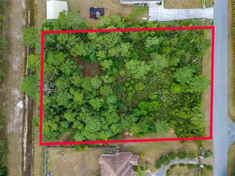 Land For Sale in Wedgefield, Florida