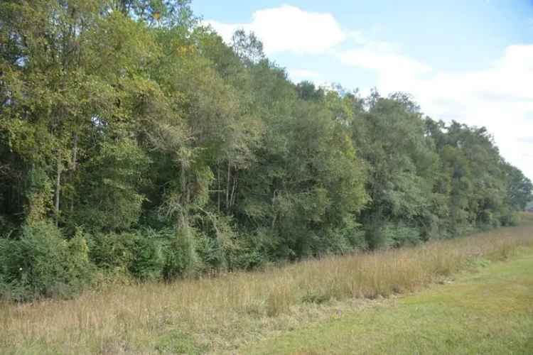 Land For Sale in Enterprise, Alabama