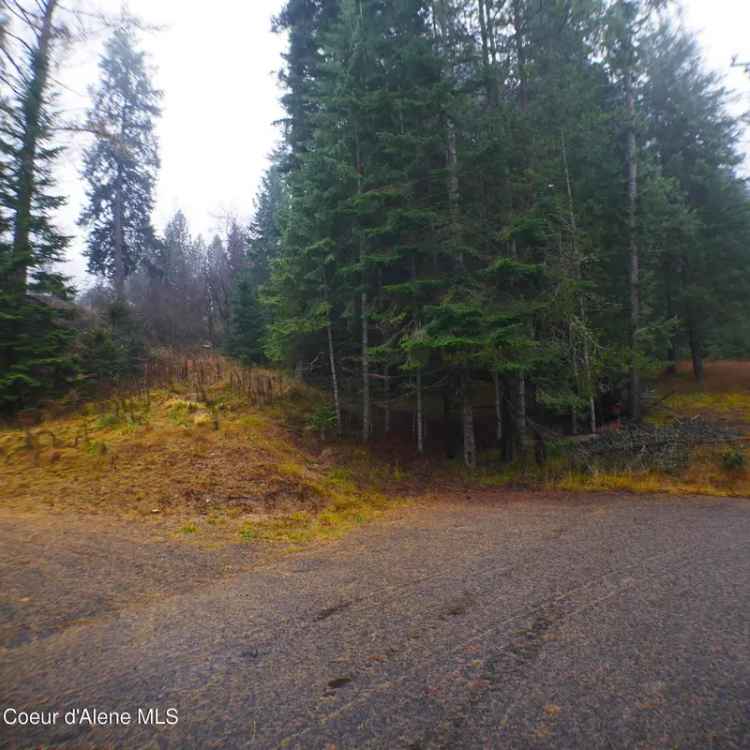 Land For Sale in Saint Maries, Idaho