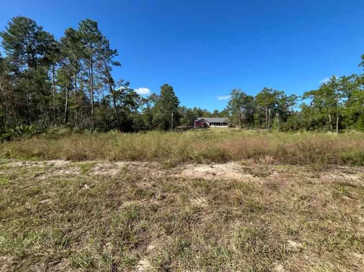 Land For Sale in Ocala, Florida