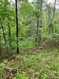 Land For Sale in Bella Vista, Arkansas