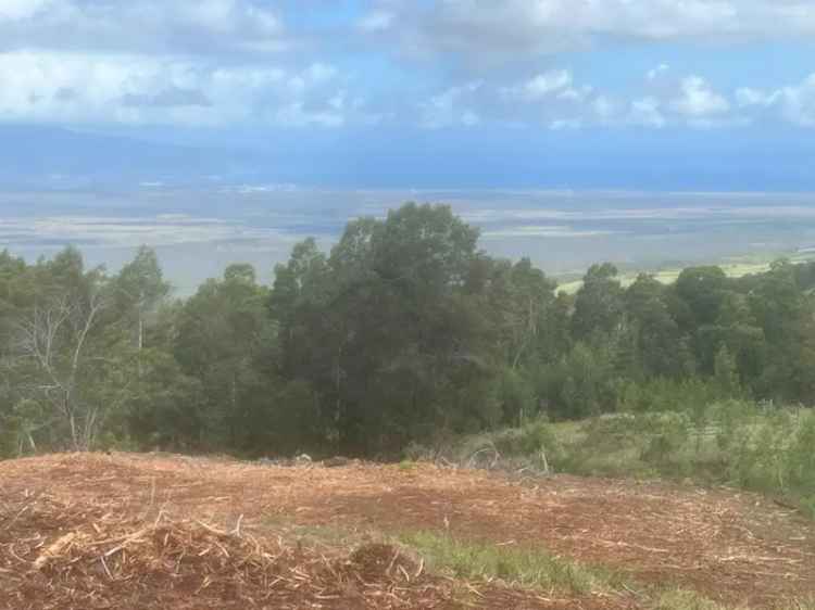 Land For Sale in Kula, Hawaii