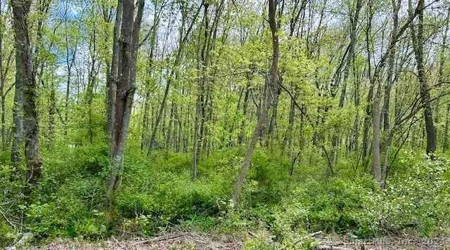 Land For Sale in Madison, Connecticut