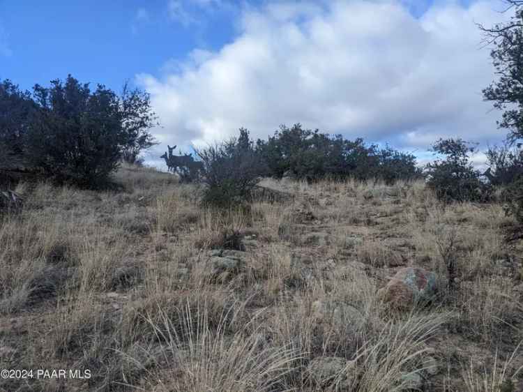 Land For Sale in 1466, Sierry Springs Drive, Prescott, Arizona