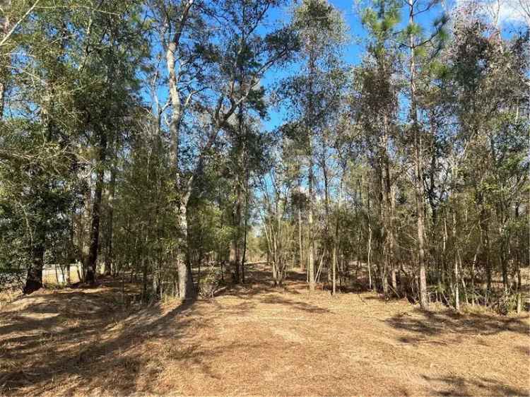 Land For Sale in Alabama