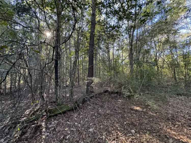 Land For Sale in 236, Pea Ridge Road, Mississippi