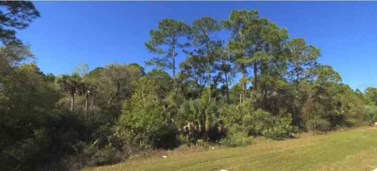 Land For Sale in 1573, Ophelia Lane, The Villages, Florida