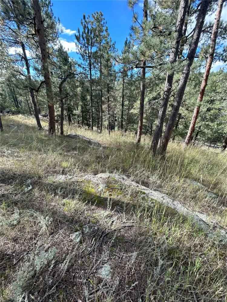 Land For Sale in Evergreen, Colorado