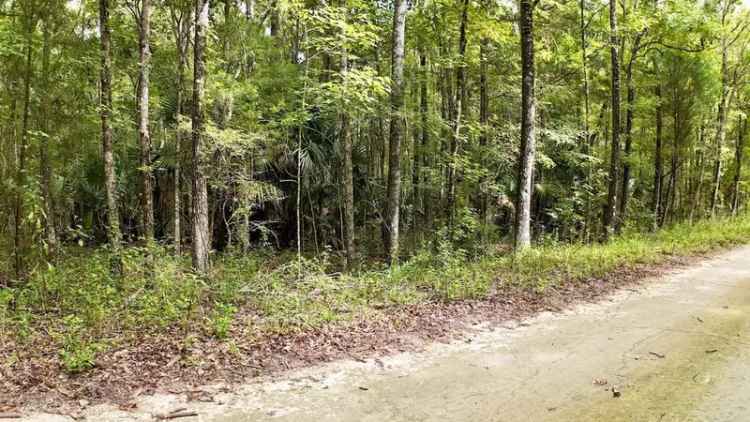 Land For Sale in Ocala, Florida