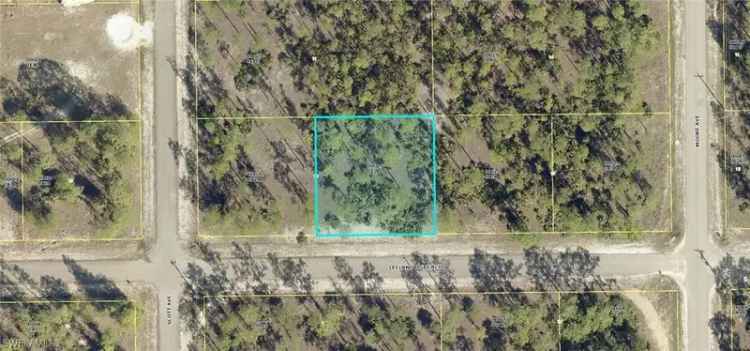 Land For Sale in Lehigh Acres, Florida