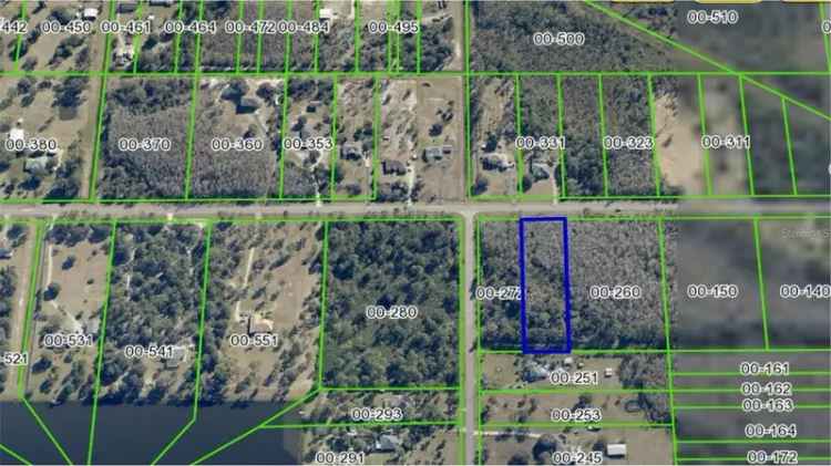 Land For Sale in Wedgefield, Florida