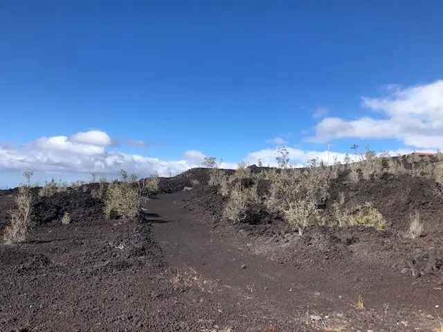 Land For Sale in Hawaiian Ocean View, Hawaii