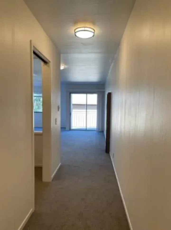 1-Bedroom Apartment near UC Berkeley