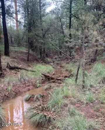 Land For Sale in Strawberry, Arizona