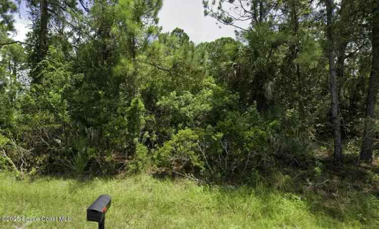 Land For Sale in 213, Joy Haven Avenue Northwest, Palm Bay, Florida