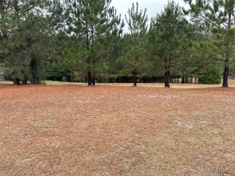 Land For Sale in 729, Pine Avenue, Ozark, Alabama