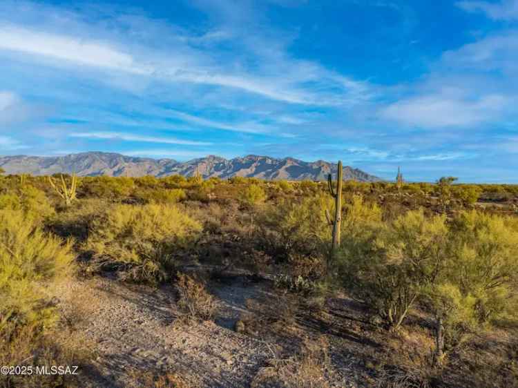 Land For Sale in 12488, North Camino de Oeste, Marana, Arizona