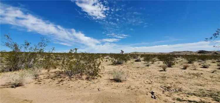 Land For Sale in Joshua Tree, California