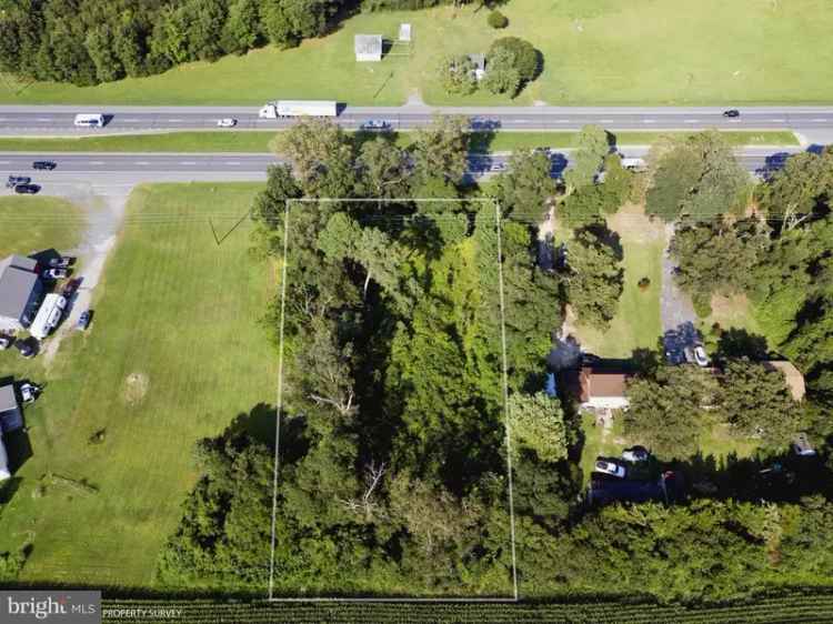 Land For Sale in Georgetown, Delaware