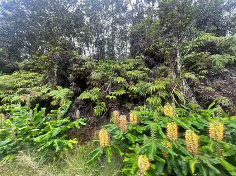 Land For Sale in Volcano, Hawaii