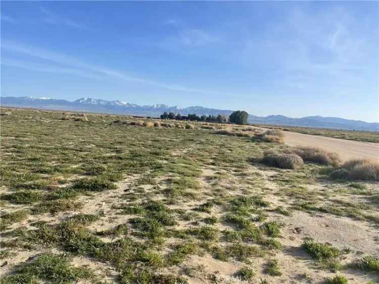 Land For Sale in 102, East Avenue M, Palmdale, California