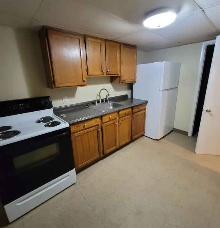 2 Bedroom Apartment for Rent in Carbondale