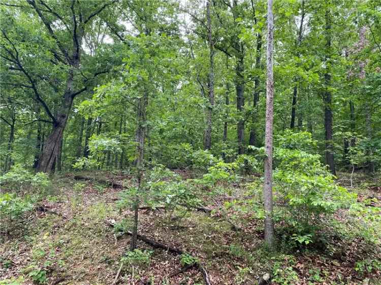 Land For Sale in Bella Vista, Arkansas