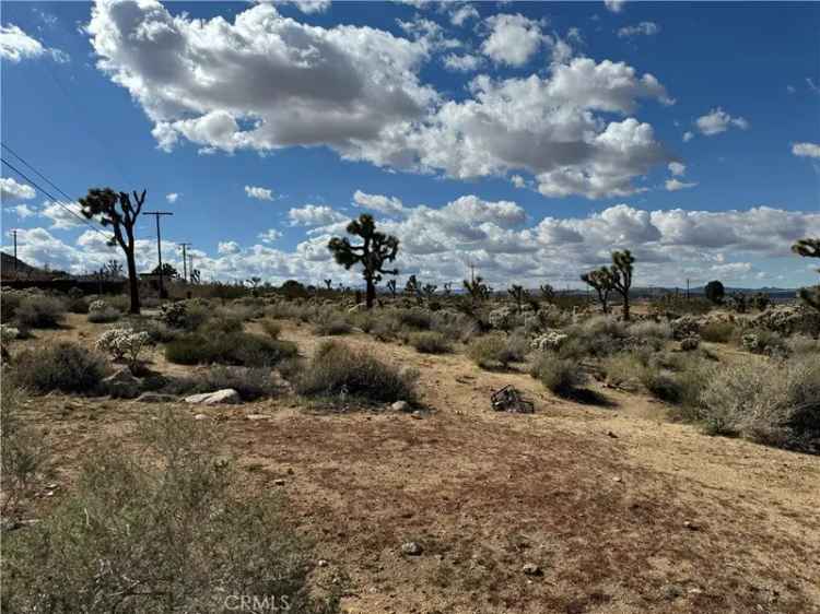 Land For Sale in Joshua Tree, California