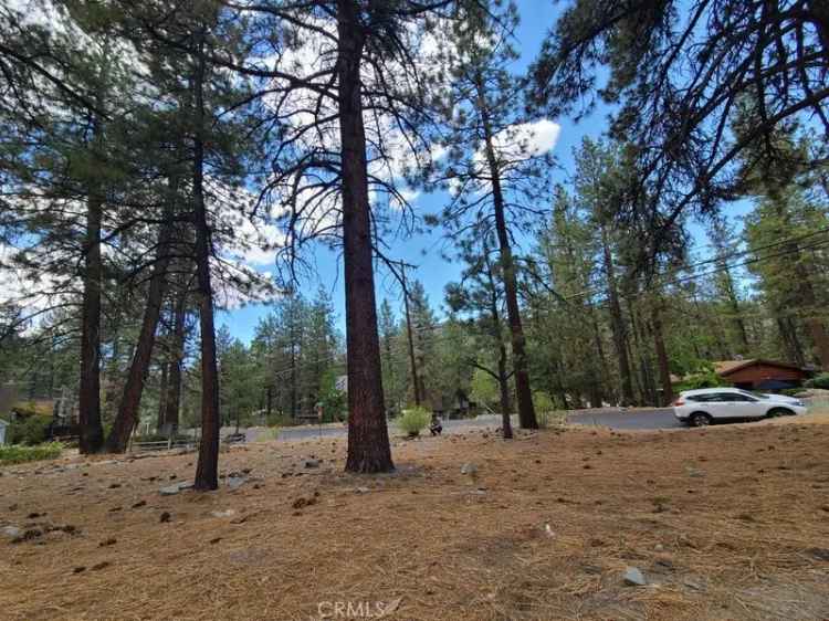 Land For Sale in Wrightwood, California